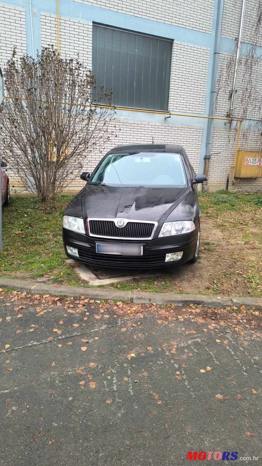 2006' Skoda Octavia 2,0 Tdi photo #1