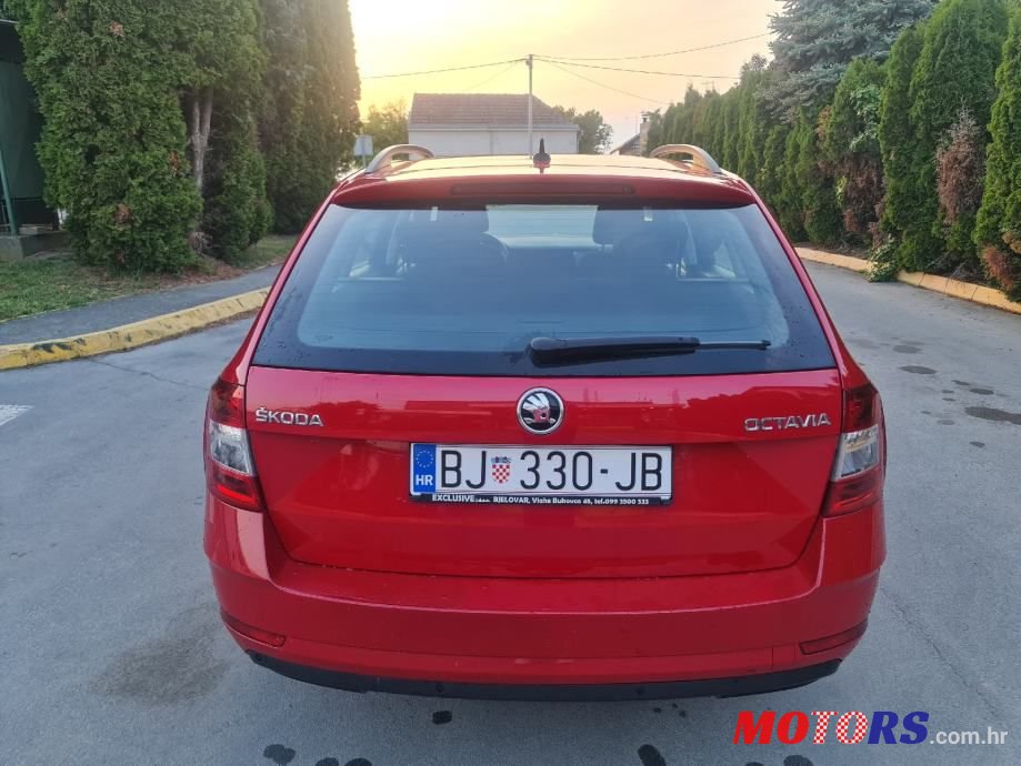 2019' Skoda Octavia 1,6 Tdi photo #5