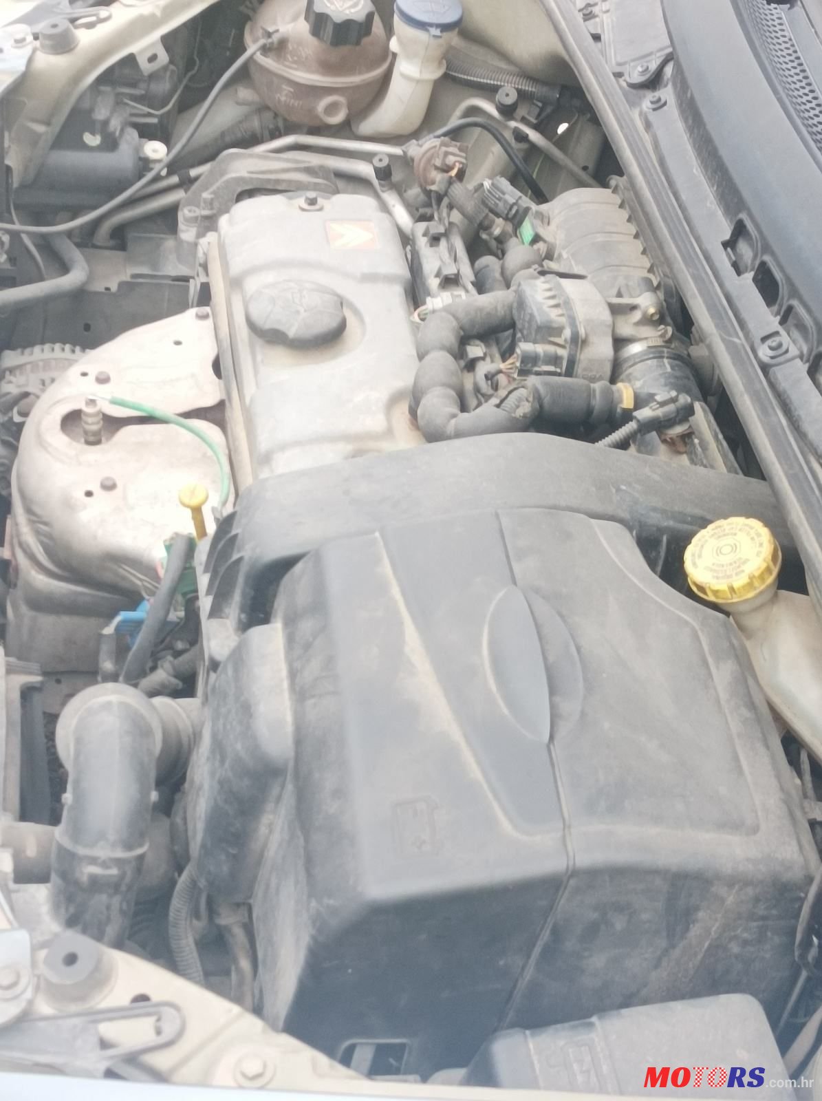 2006' Citroen C3 1,1 I photo #2