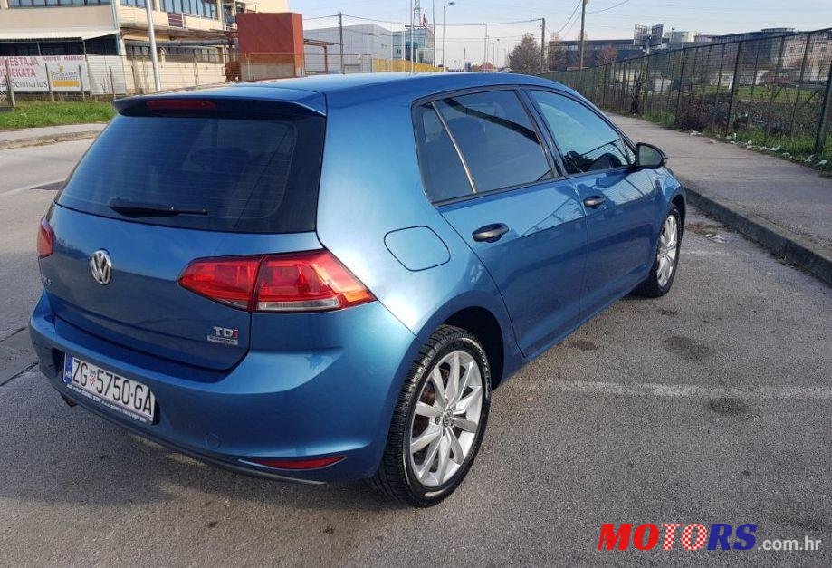 2013' Volkswagen Golf VII 1,6 Tdi Bmt photo #1