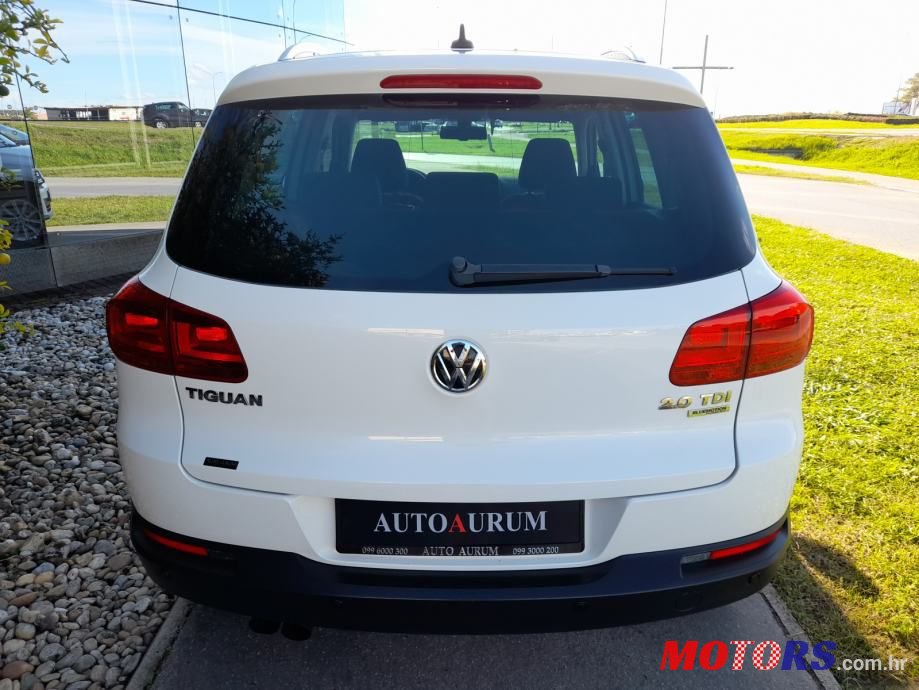 2013' Volkswagen Tiguan photo #4