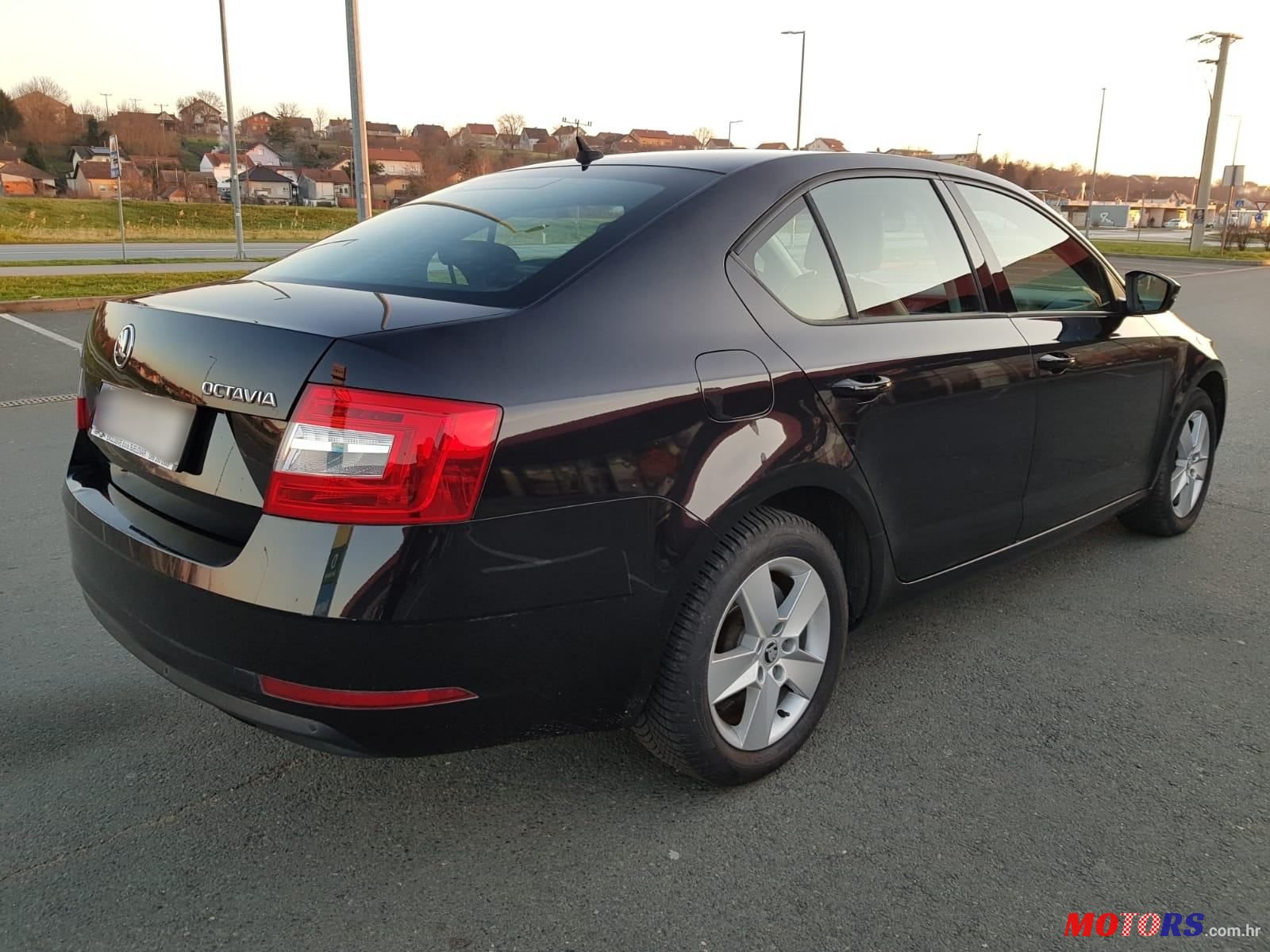2017' Skoda Octavia 1,6 Tdi photo #5