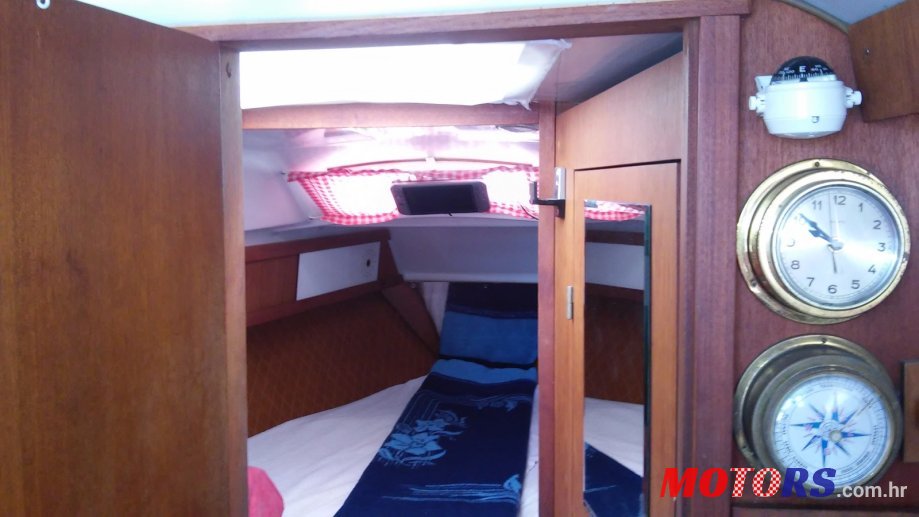 1981' Neptunus photo #2