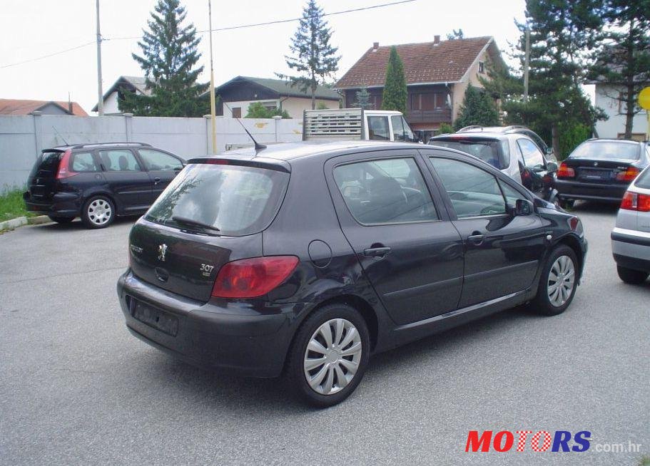 2004' Peugeot 307 2,0 Hdi Xs photo #2