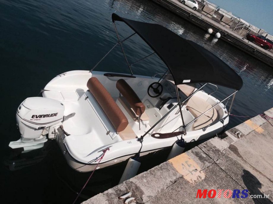 2009' Fisher 17 photo #1