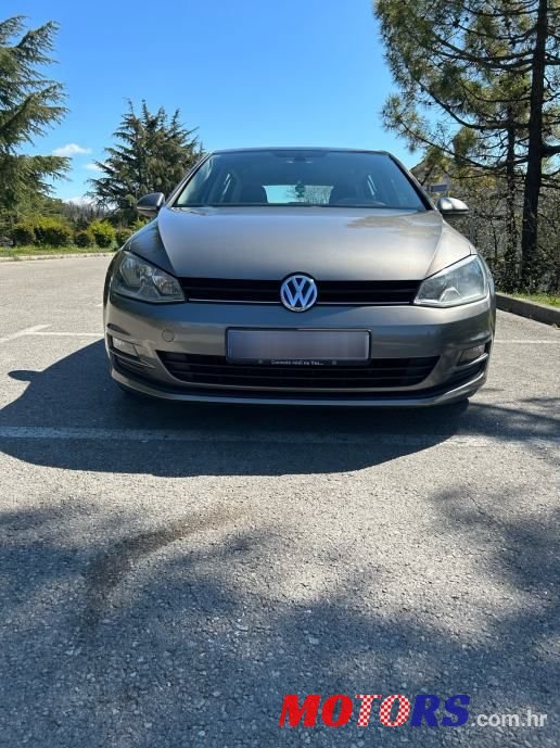 2013' Volkswagen Golf 7 1,6 Tdi Bmt photo #1