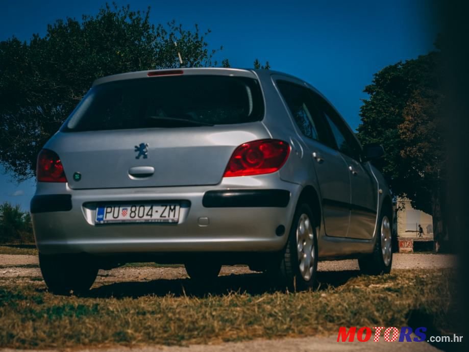 2005' Peugeot 307 1,4 16V photo #3