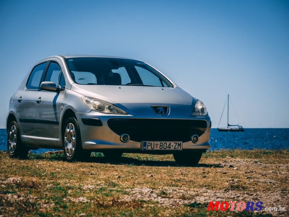 2005' Peugeot 307 1,4 16V photo #1