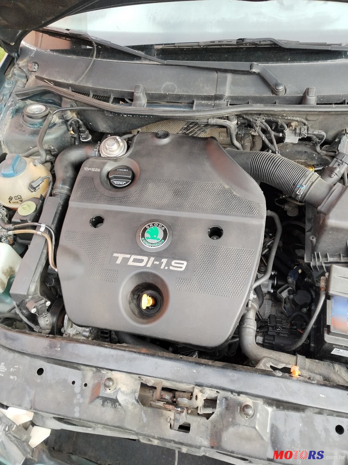 1999' Skoda Octavia 1.9 Tdi photo #5