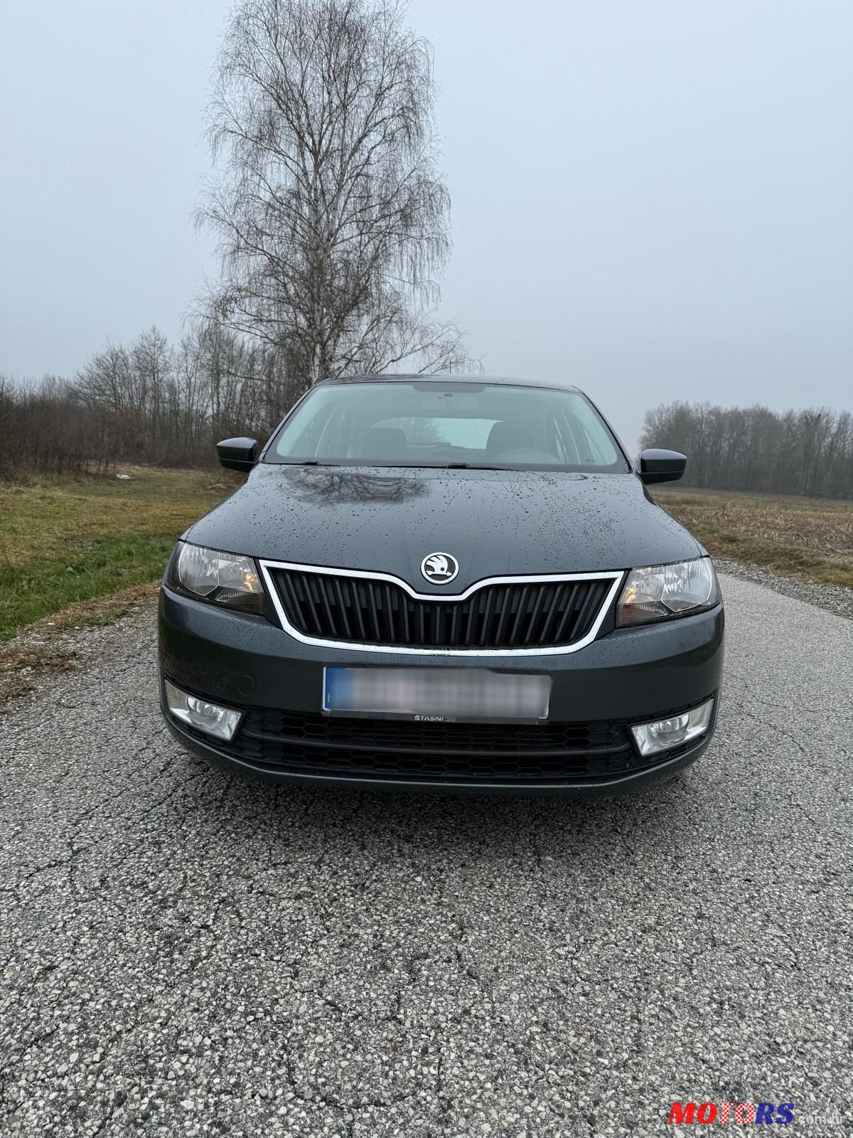 2015' Skoda Rapid 1,6 Tdi photo #6