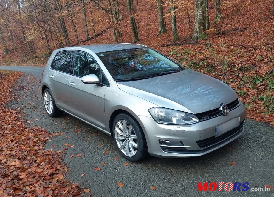 2013' Volkswagen Golf 7 1,6 Tdi Bmt photo #1