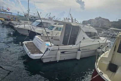 2008' Sessa Dorado