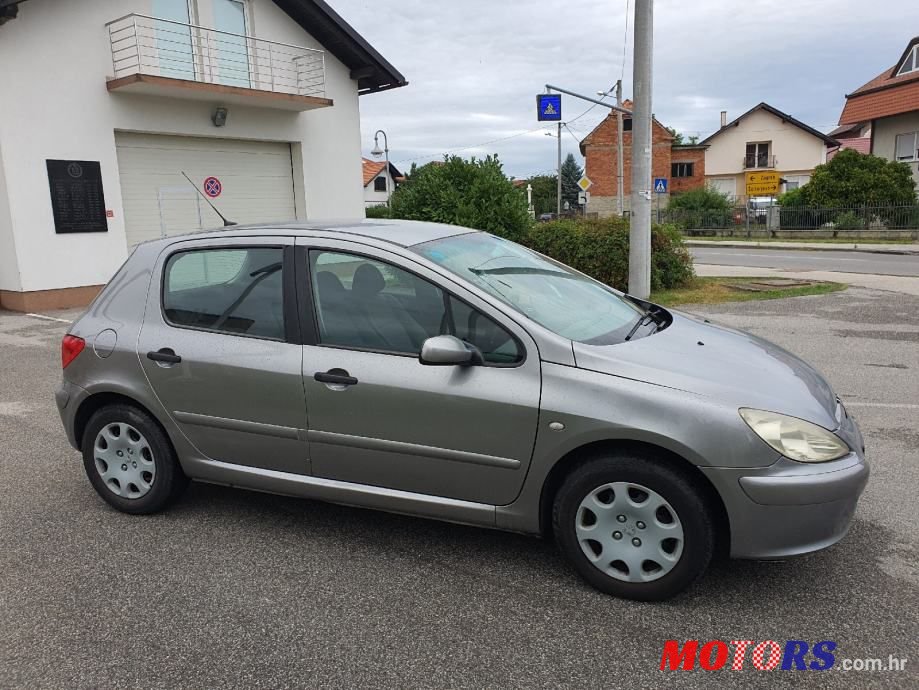 2002' Peugeot 307 1,4 photo #2