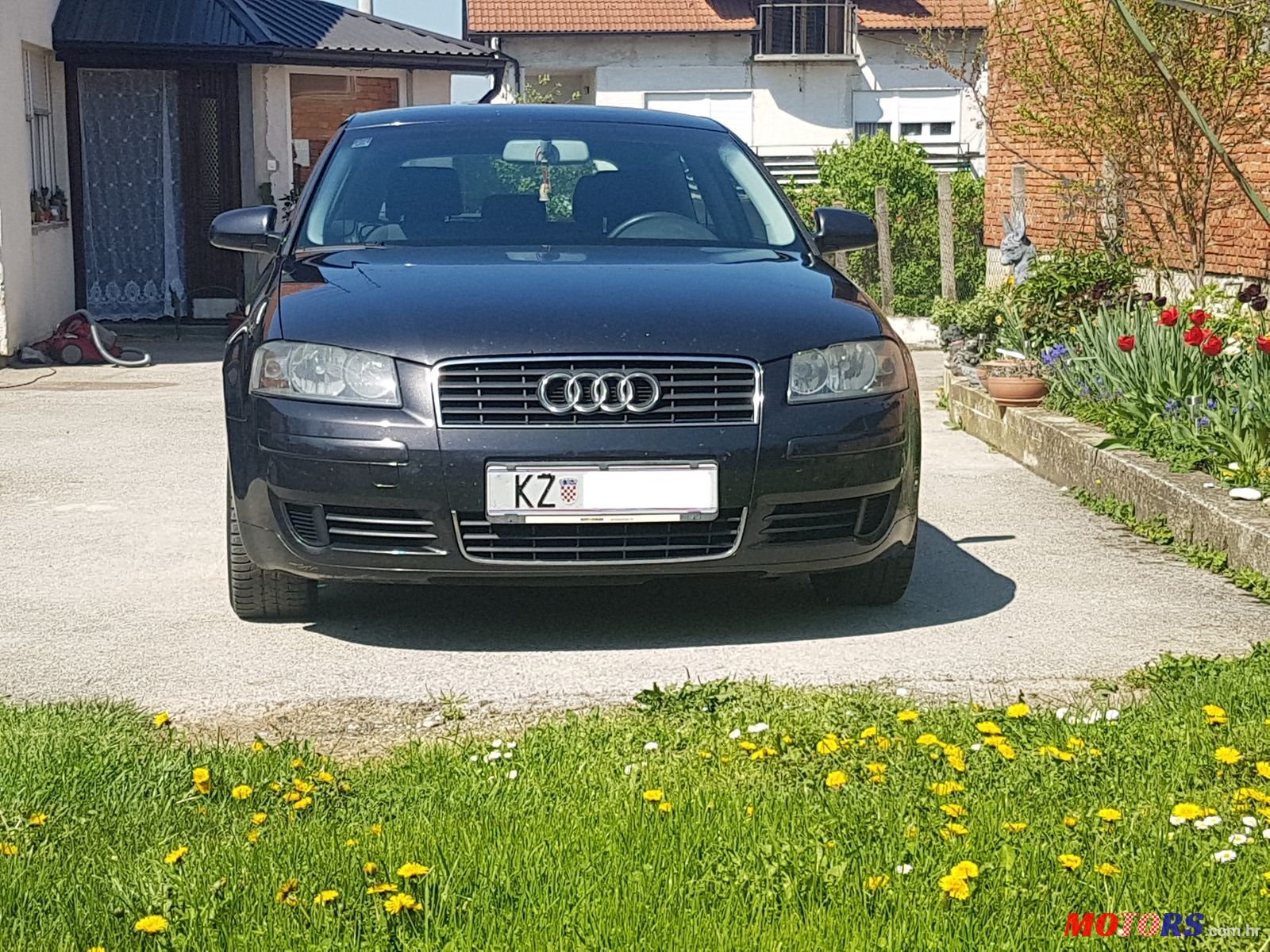 2004' Audi A3 1.9TDI 77kW photo #1