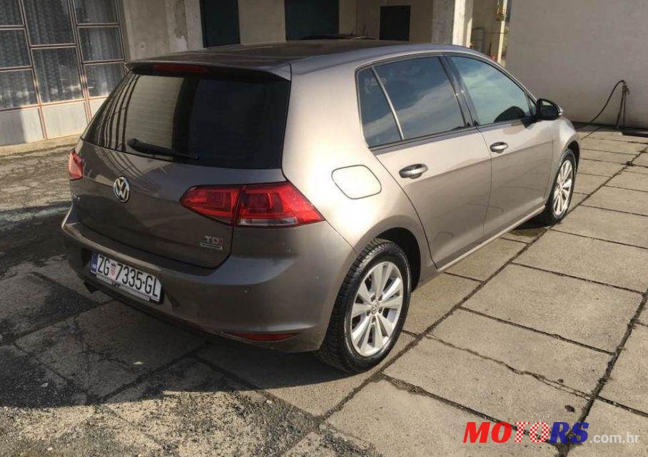 2014' Volkswagen Golf VII photo #2