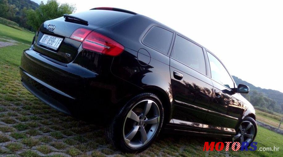 2010' Audi A3 1,6 TDI photo #3