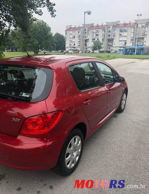 2006' Peugeot 307 1,4 16V photo #1