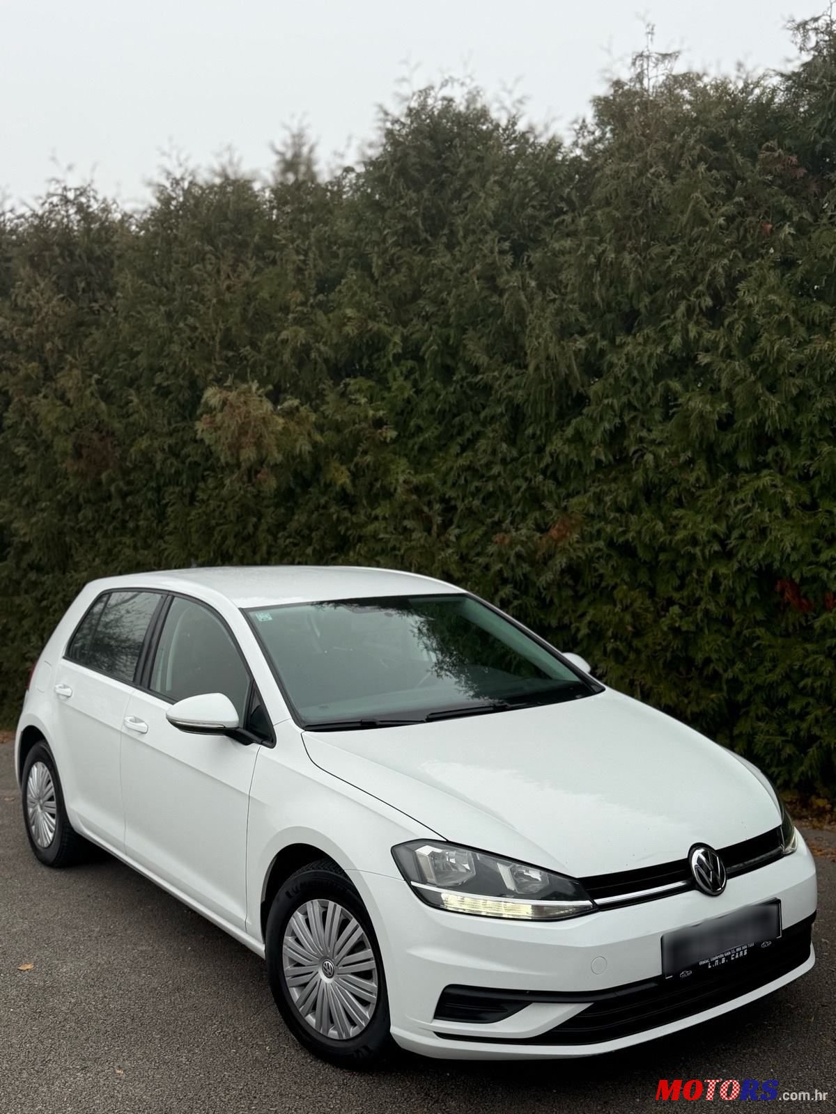 2018' Volkswagen Golf VII 1,6 Tdi Bmt photo #2