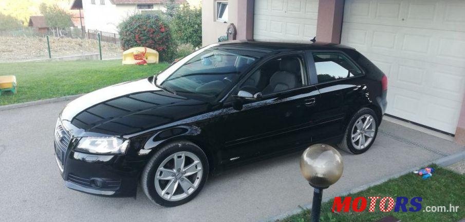 2010' Audi A3 1,6 Tdi photo #1