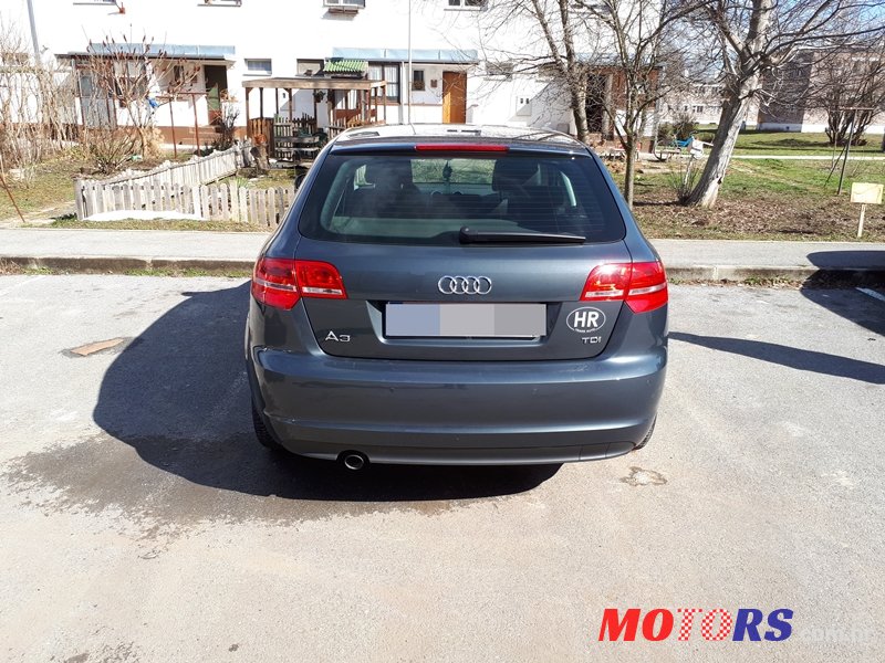 2011' Audi A3 1.6 TDI photo #2
