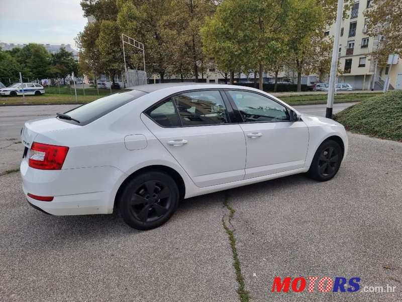 2014' Skoda Octavia photo #5