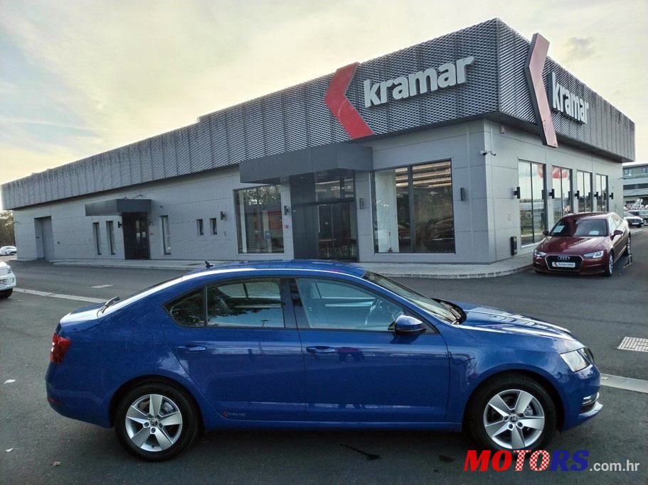 2019' Skoda Octavia 1,6 Tdi photo #2