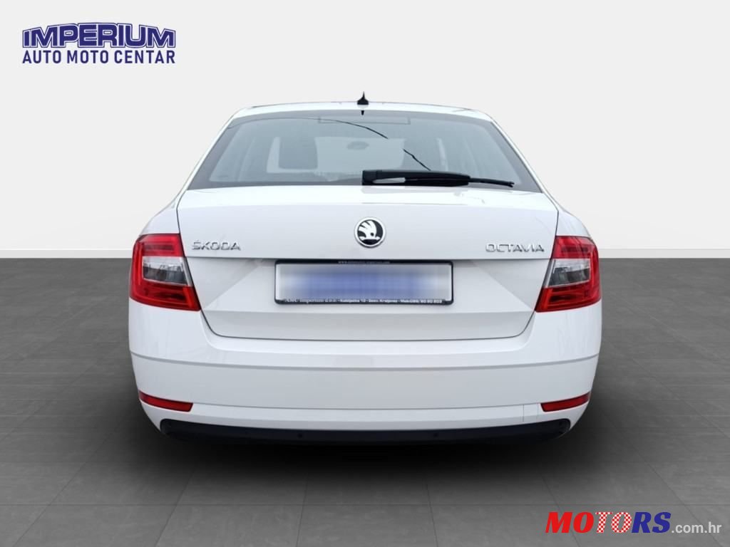 2019' Skoda Octavia photo #6