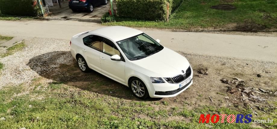 2019' Skoda Octavia 1,6 Tdi photo #2