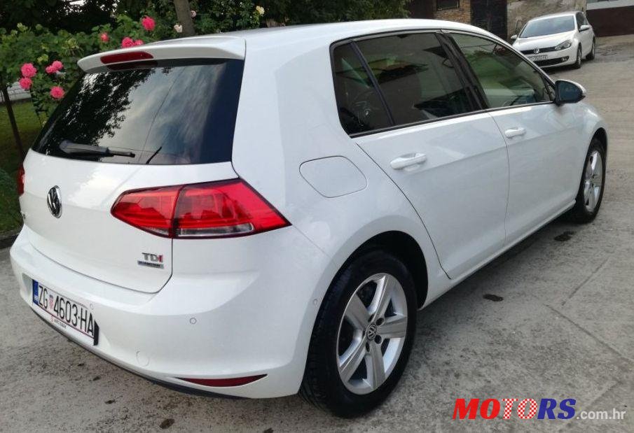 2013' Volkswagen Golf VII photo #2