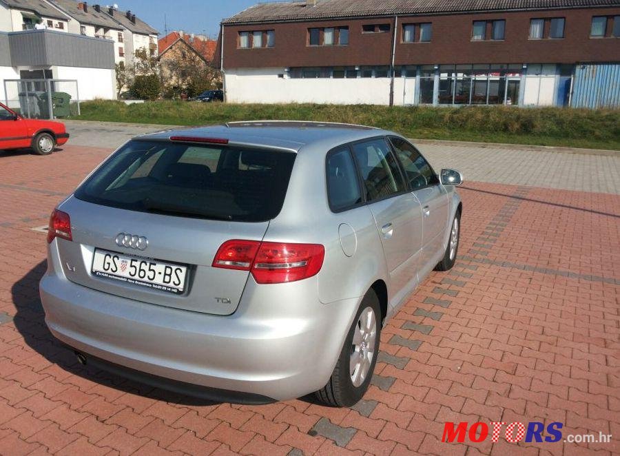 2010' Audi A3 1,6 Tdi photo #2