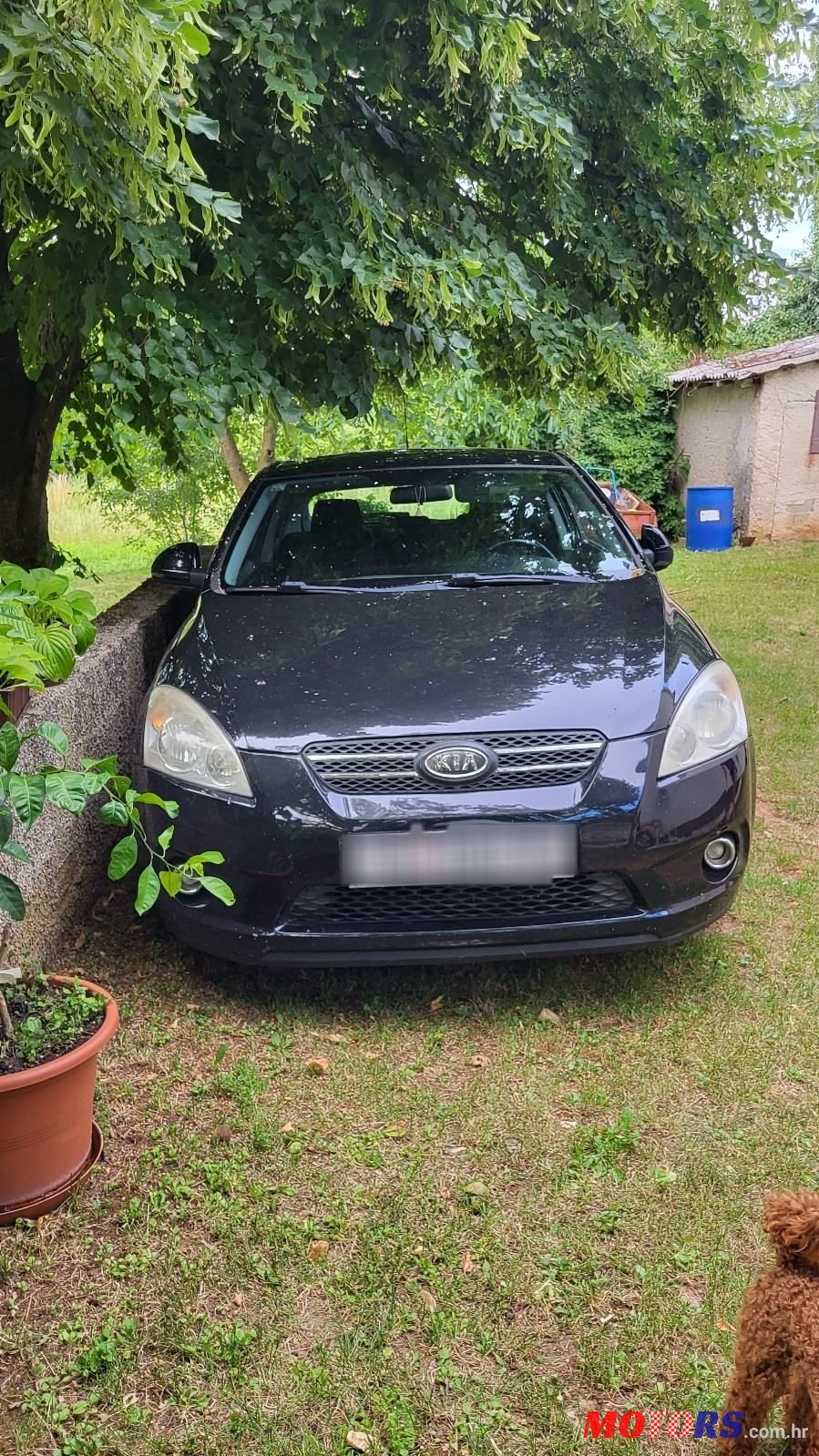 2008' Kia Pro Ceed 1,4 Lx photo #2