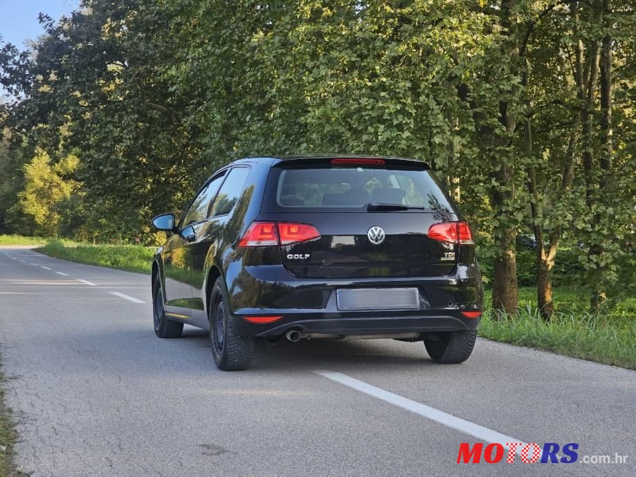 2013' Volkswagen Golf 7 photo #2