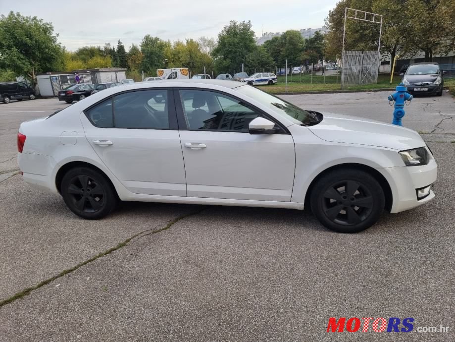 2014' Skoda Octavia photo #4