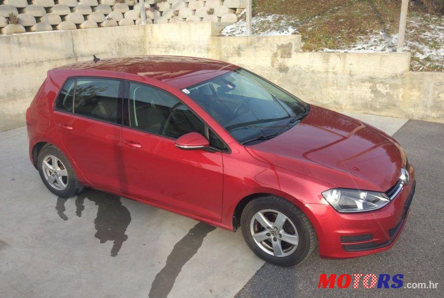 2013' Volkswagen Golf VII 1,6 Tdi Bmt photo #1