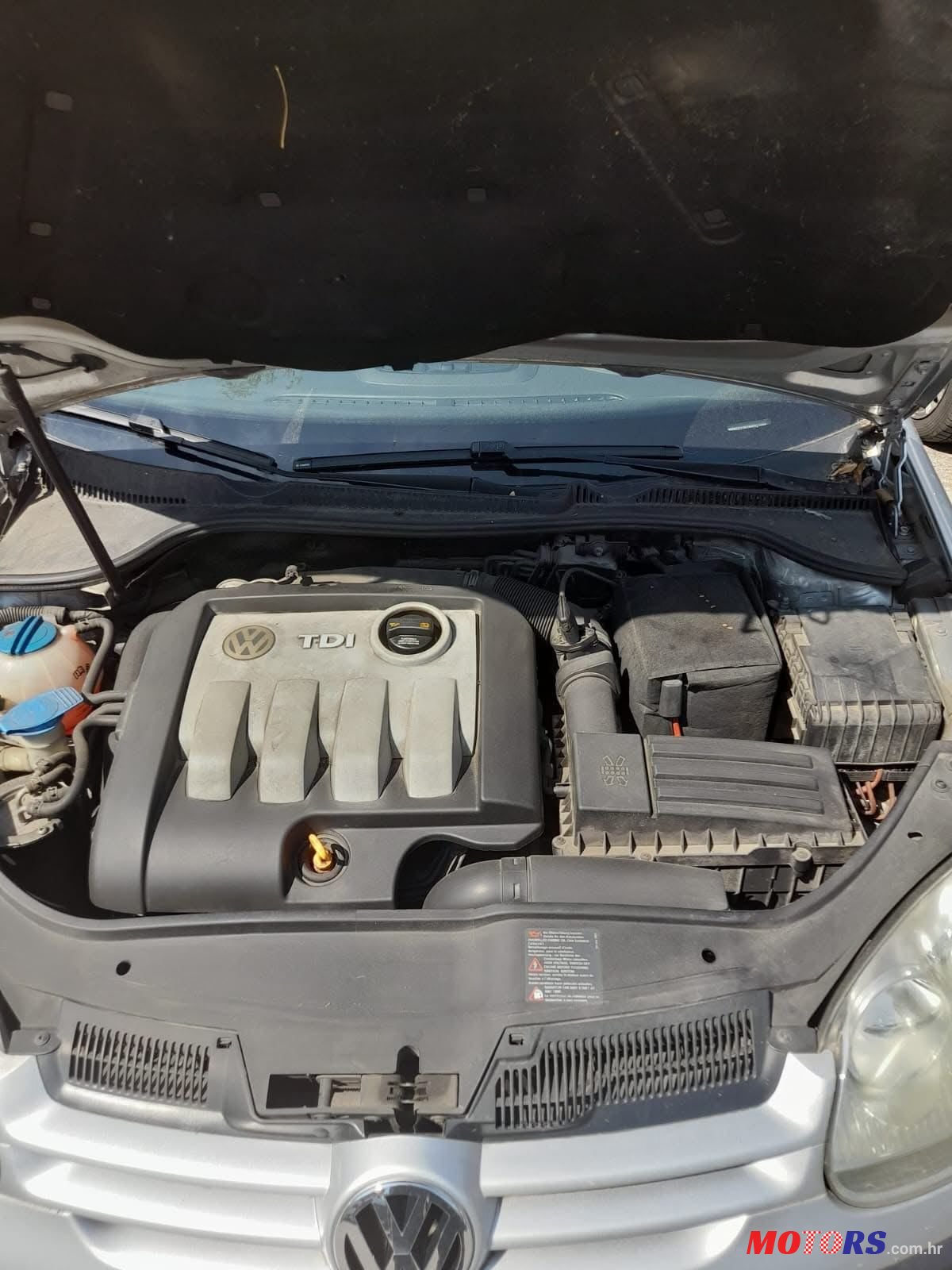 2008' Volkswagen Golf V 1,9 Tdi photo #2