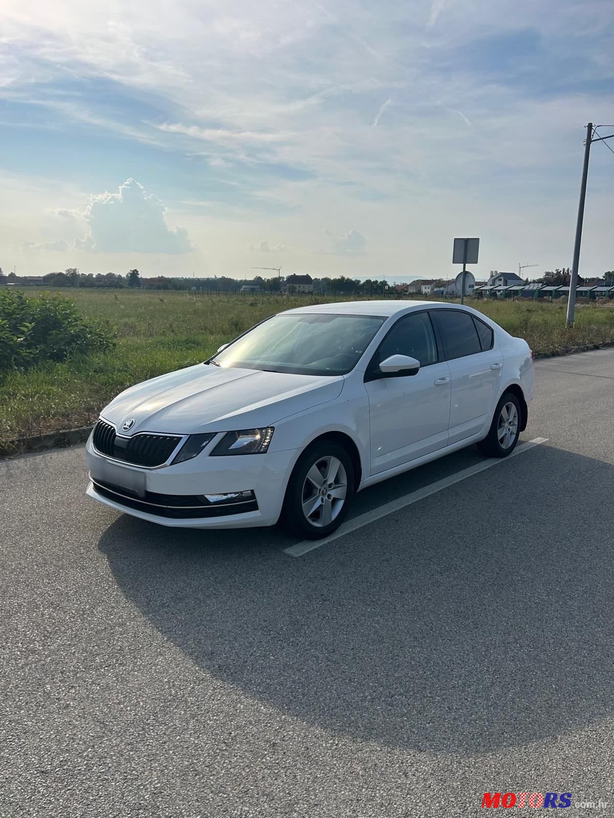2019' Skoda Octavia 2,0 Tdi photo #1