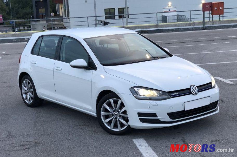 2013' Volkswagen Golf VII 1,6 Tdi Bmt photo #1