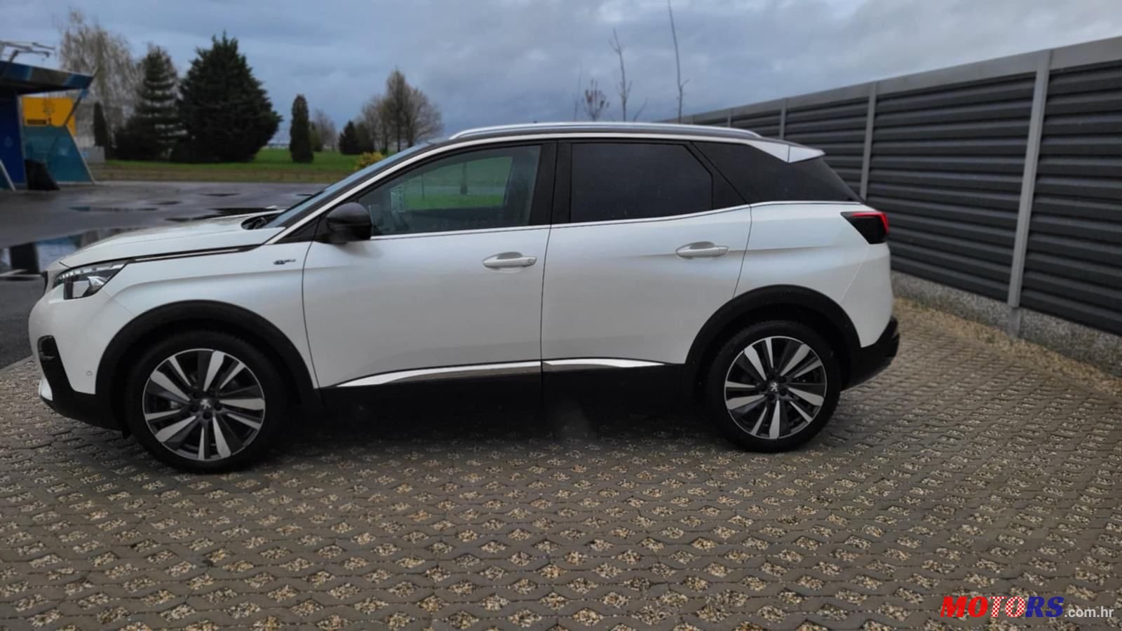 2020' Peugeot 3008 2,0 Bluehdi photo #4