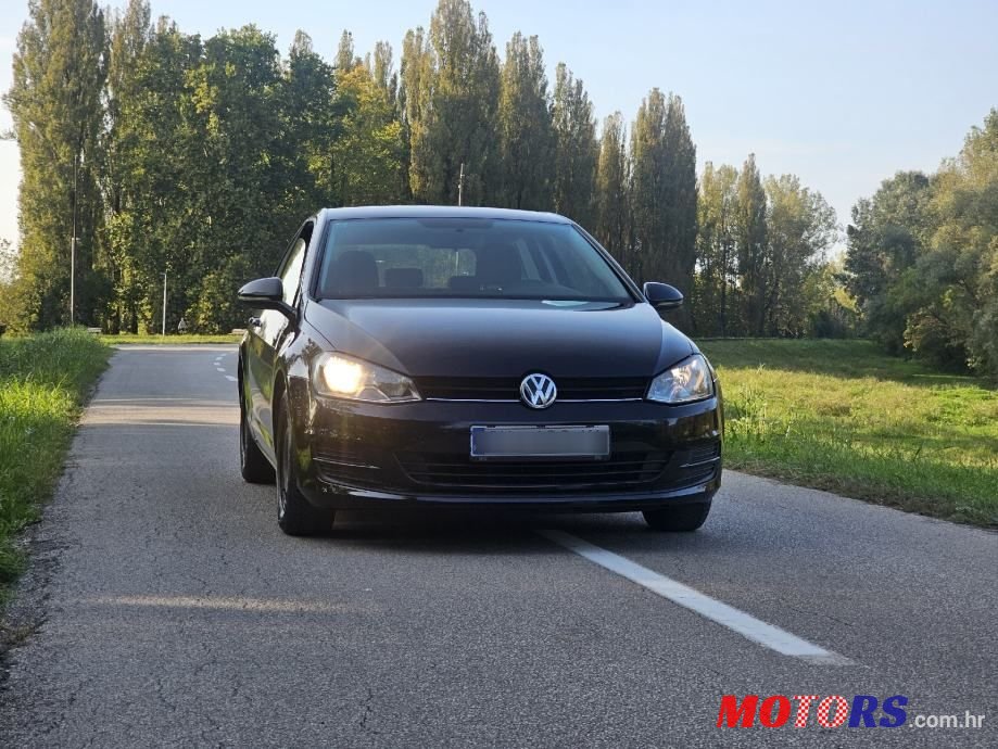 2013' Volkswagen Golf 7 photo #1