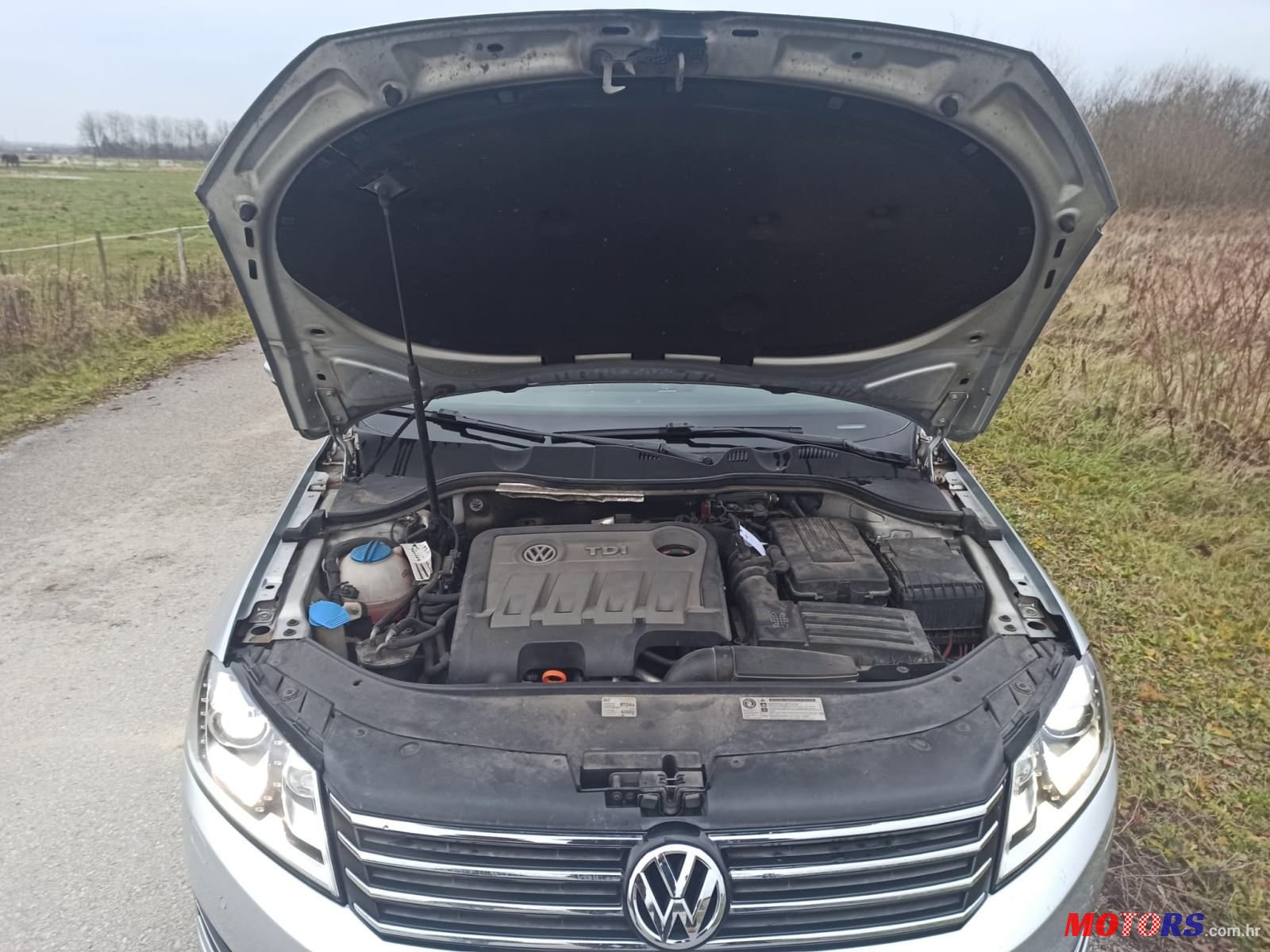 2013' Volkswagen Passat Variant photo #6