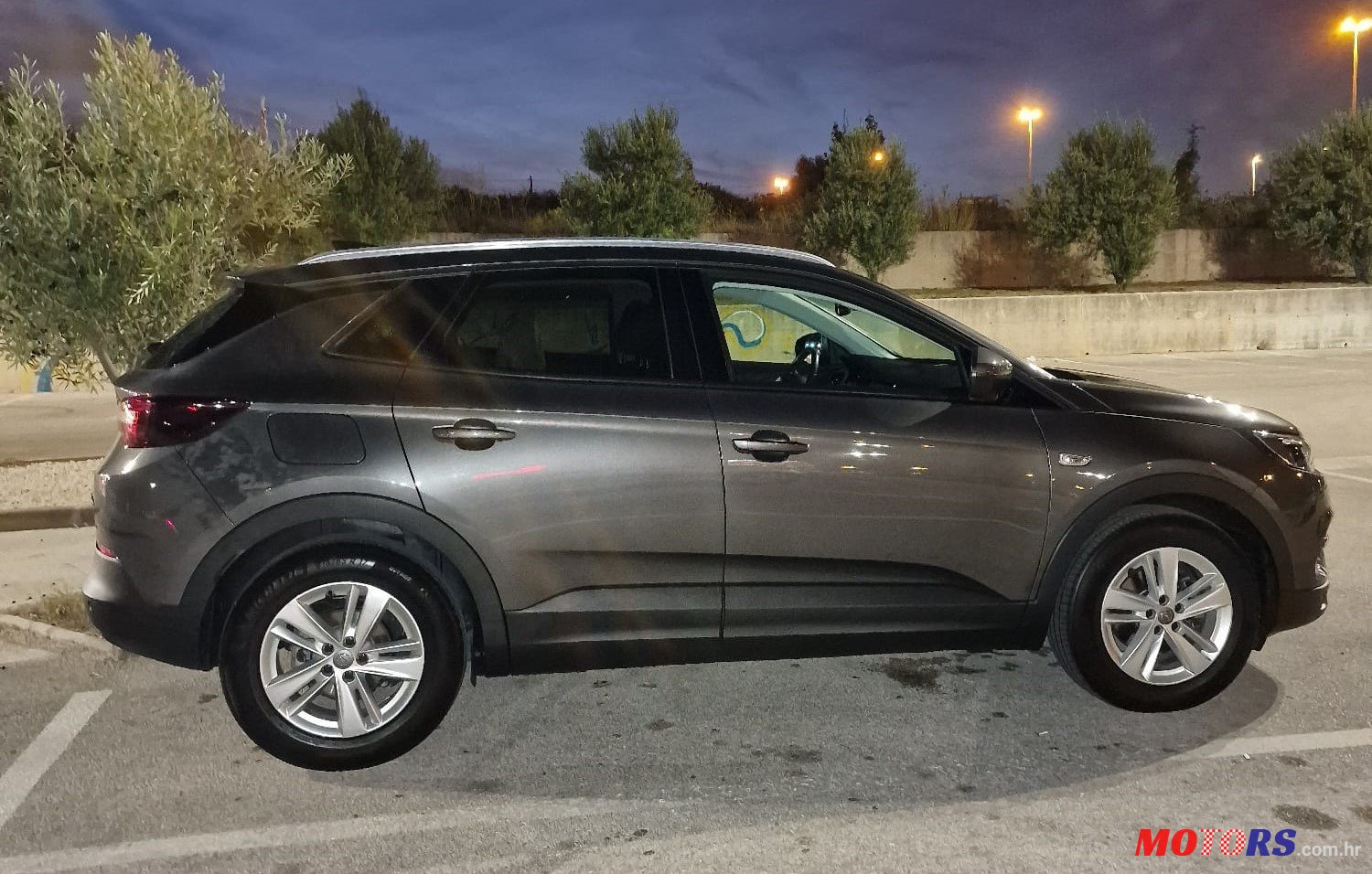 2019' Opel Grandland photo #4