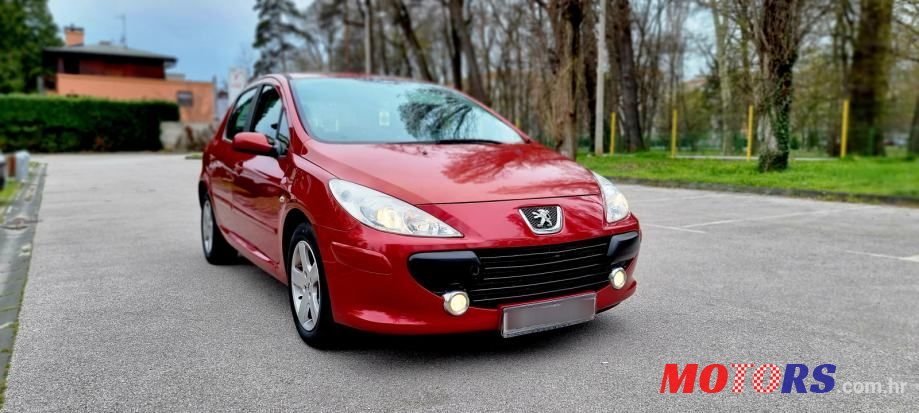 2007' Peugeot 307 1,4 16V photo #3