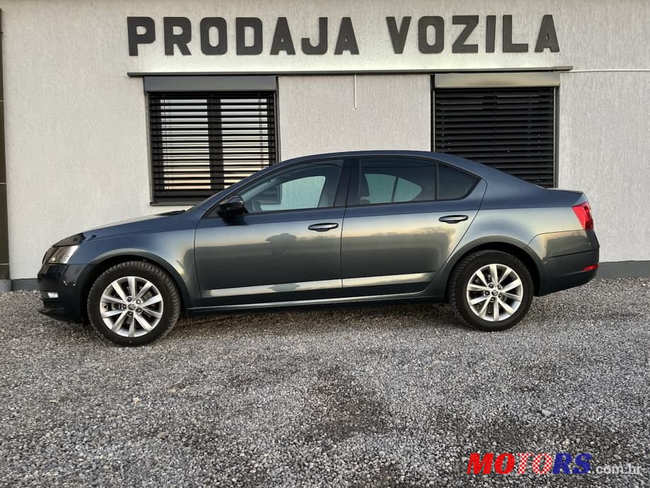 2018' Skoda Octavia photo #4