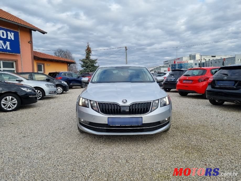 2019' Skoda Octavia 1,6 Tdi photo #2