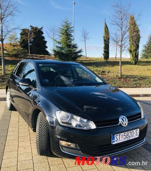 2016' Volkswagen Golf VII 1,6 Tdi Bmt photo #1