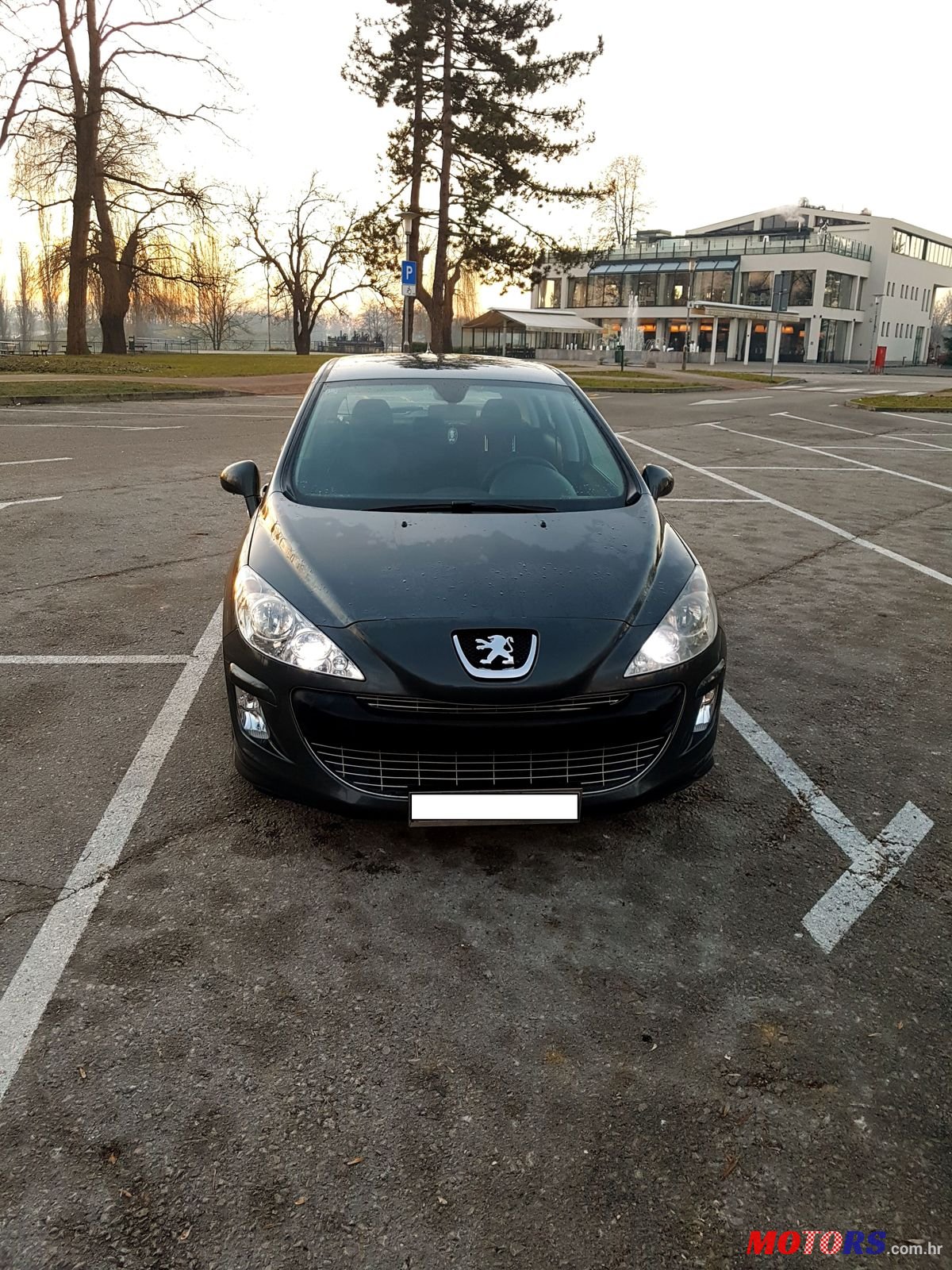 2007' Peugeot 308 Model: Premium photo #1