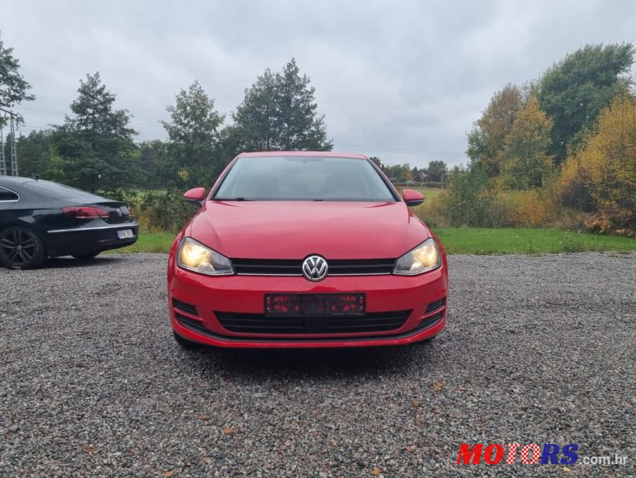 2013' Volkswagen Golf 7 photo #2