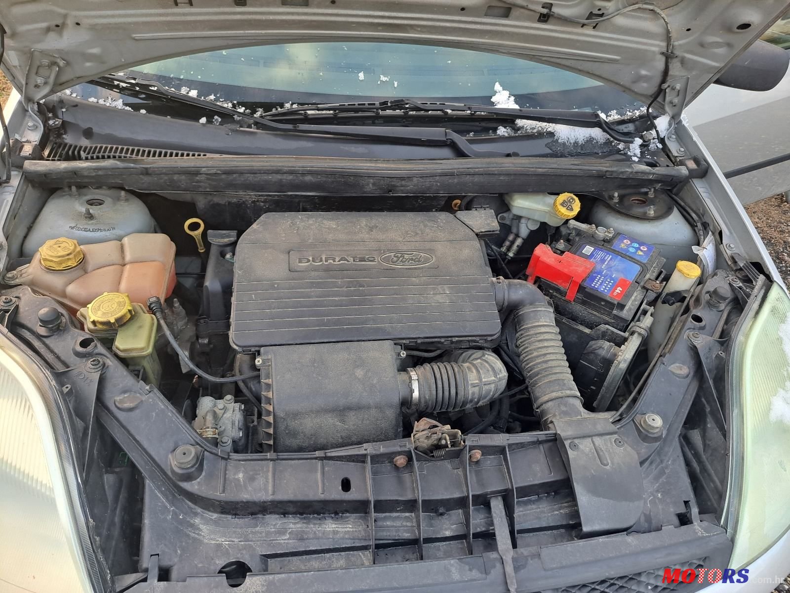 2005' Ford Fiesta 1,3 I photo #4