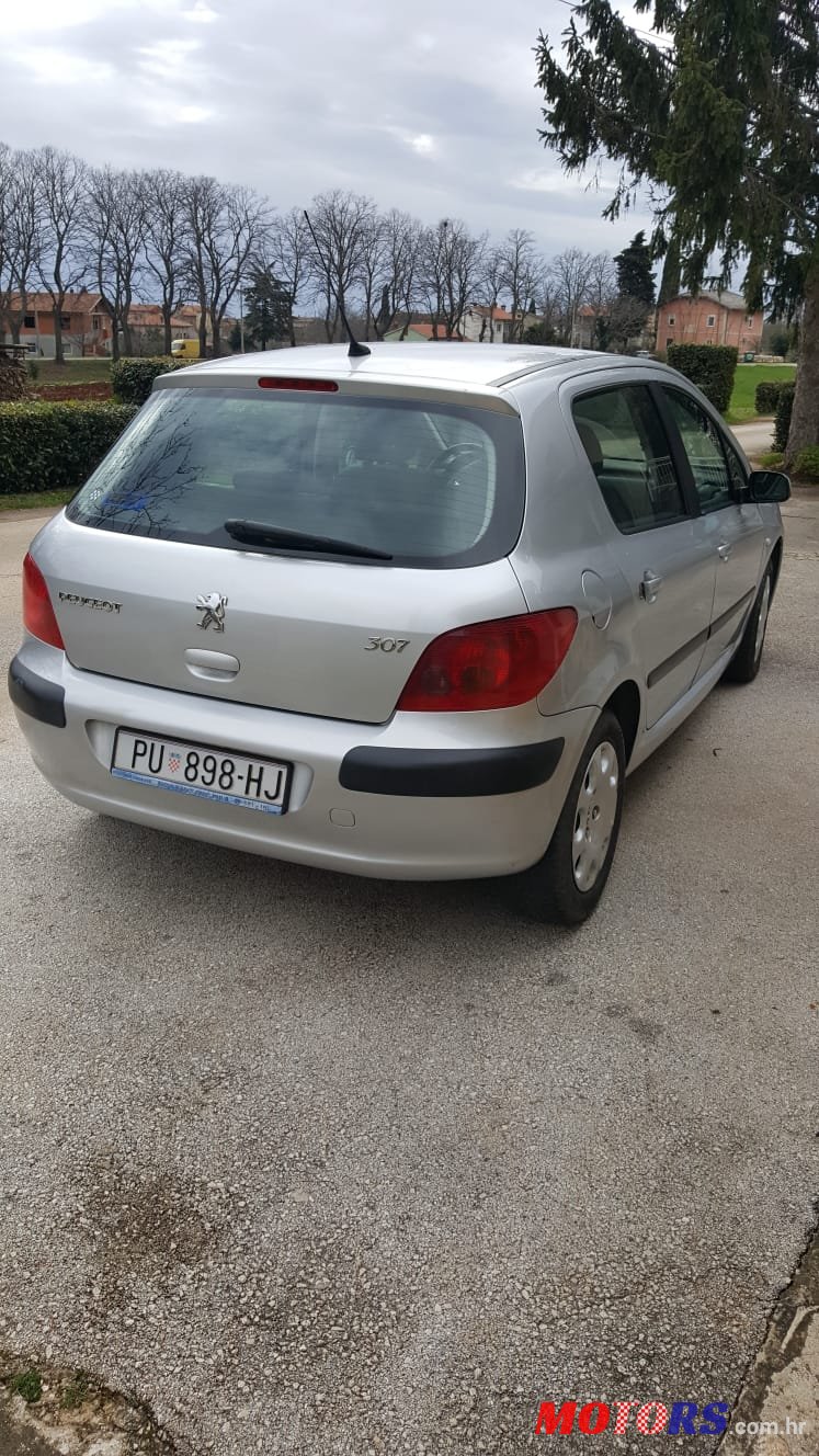 2002' Peugeot 307 photo #4