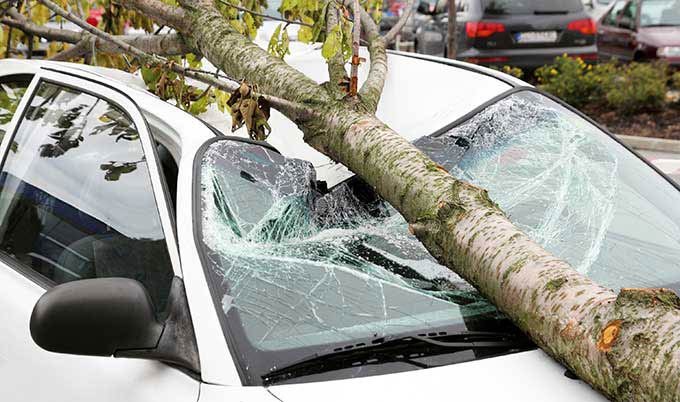 Naknada štete: Parkiranje automobila ispod suhog ili trulog stabla nije pametan potez!